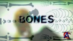  / Bones(6 )