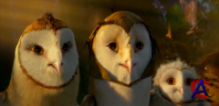    / Legend of the Guardians: The Owls of GaHoole