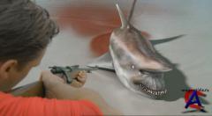   / Malibu Shark Attack
