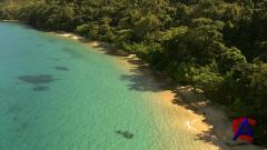BBC: : ,      / Madagascar: The land where evolution ran wild