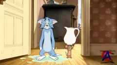         / Tom nd Jerry & The Wizard of Oz