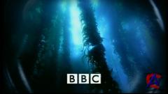 BBC:   / The Blue Planet
