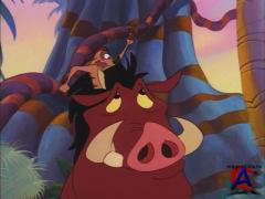    / Timon & Pumbaa (2 )