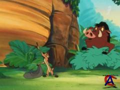    / Timon & Pumbaa (7 )