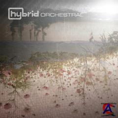 Hybrid - Classics (5CD Limited Edition)