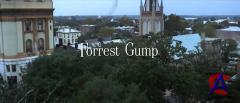   / Forrest Gump
