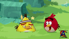   / Angry Birds Toons!