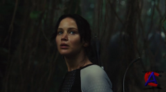  :    / The Hunger Games: Catching Fire